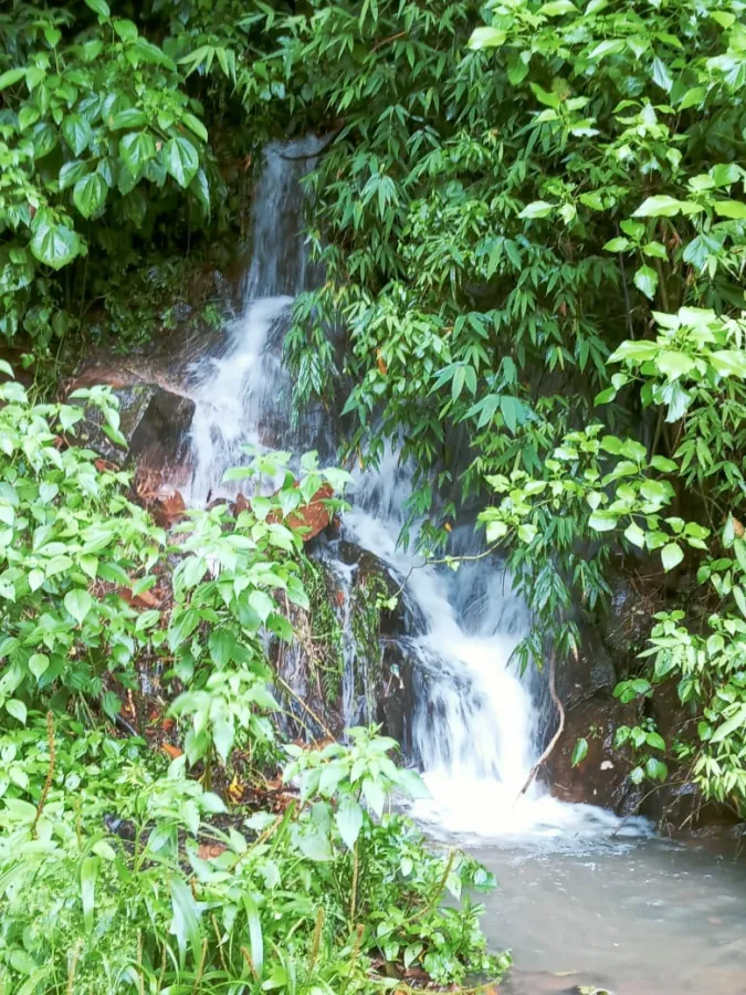 Imagem de Sítio Encantador em Taquara com Ampla Área Verde