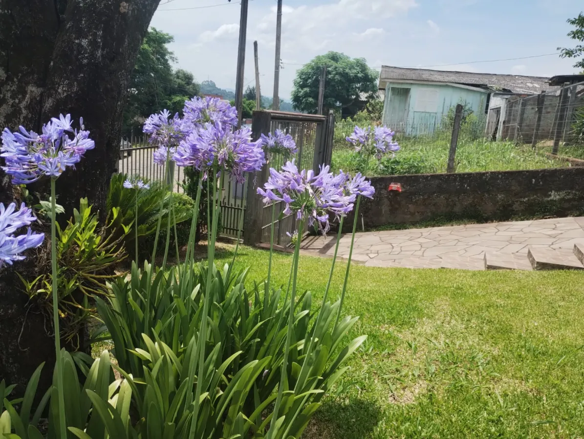 Imagem de casa no bairro Petrópolis