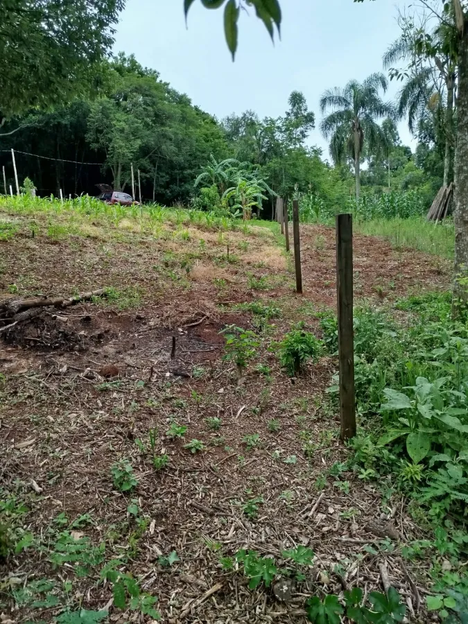 Imagem de Área rural em Fazenda Fialho