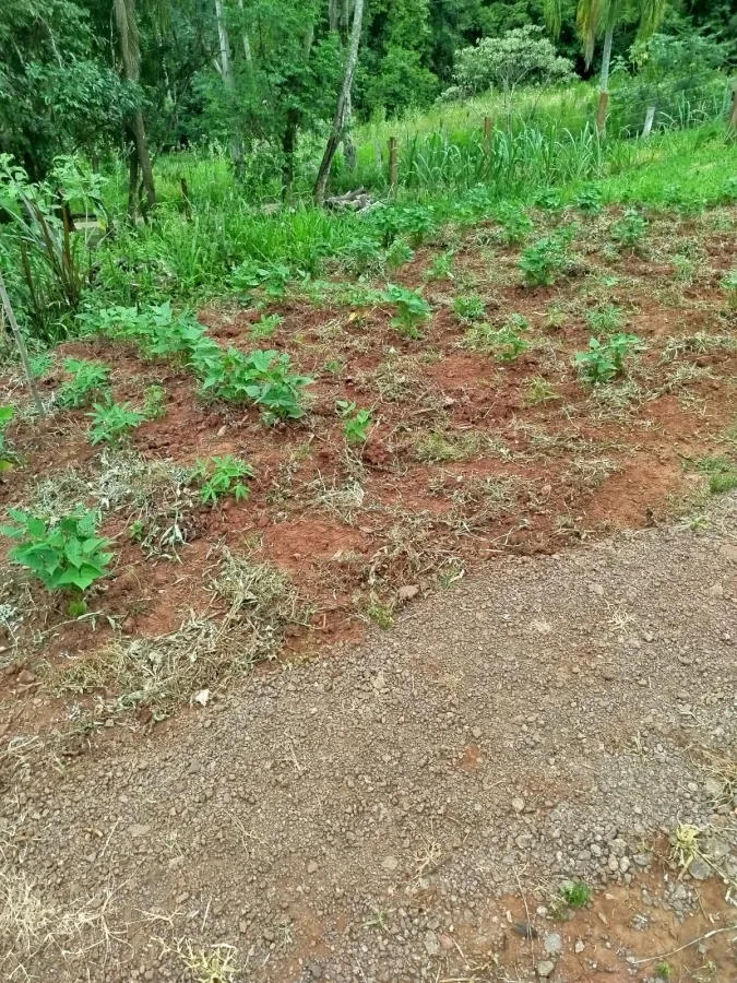 Imagem de Área rural em Fazenda Fialho