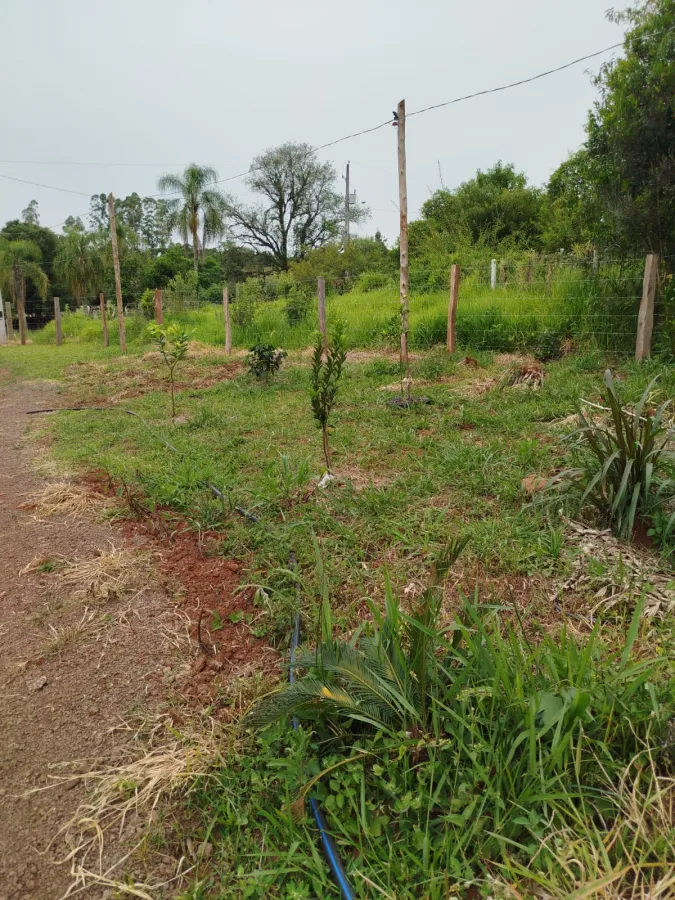 Imagem de Área rural em Fazenda Fialho