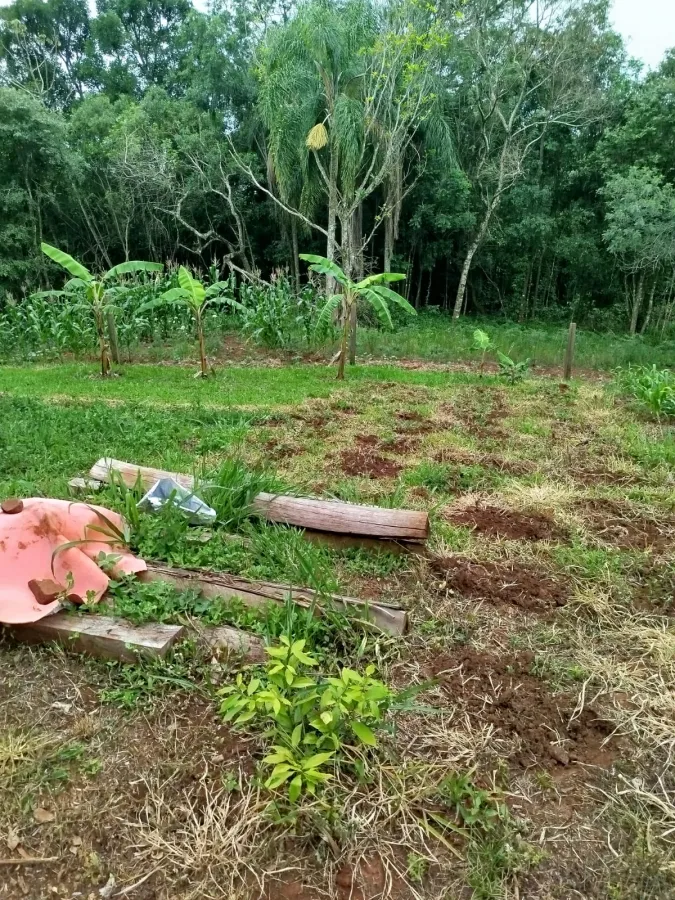 Imagem de Área rural em Fazenda Fialho