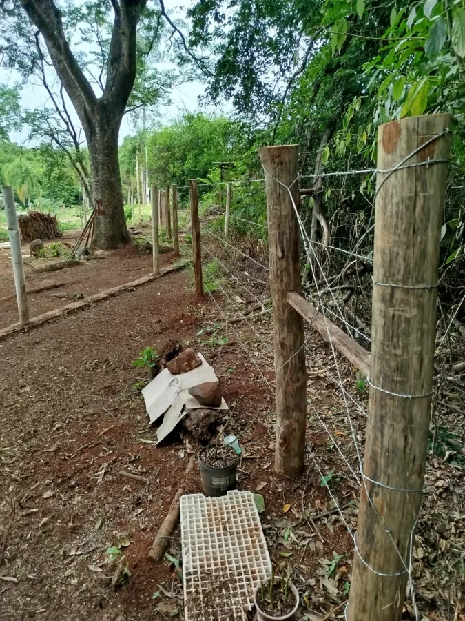 Imagem de Área rural em Fazenda Fialho