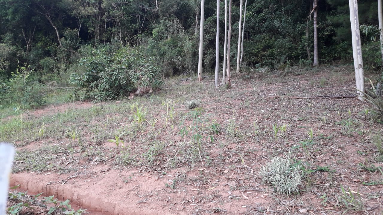 Imagem de Sitio Em Fazenda Fialho