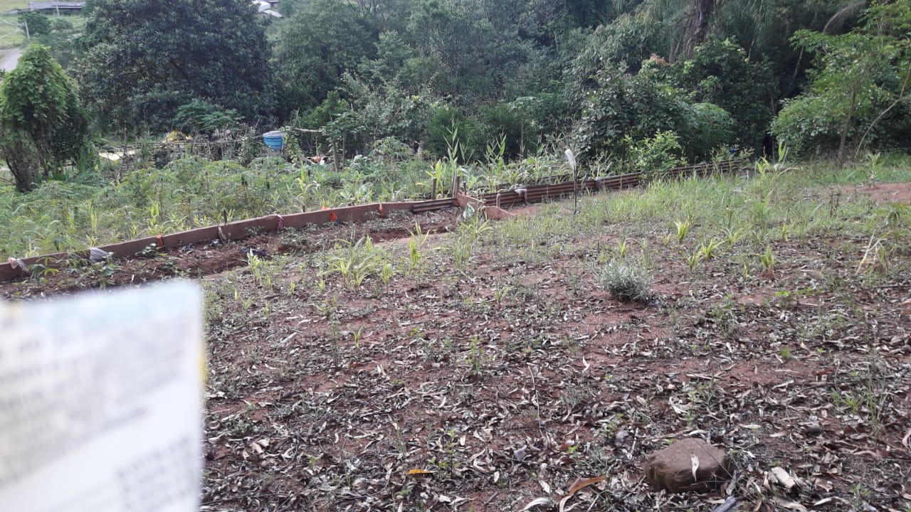 Imagem de Sitio Em Fazenda Fialho