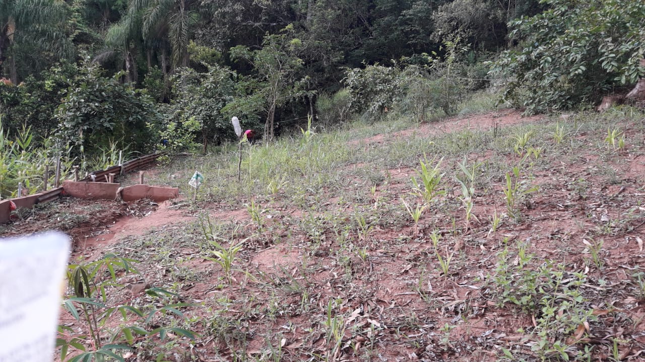 Imagem de Sitio Em Fazenda Fialho