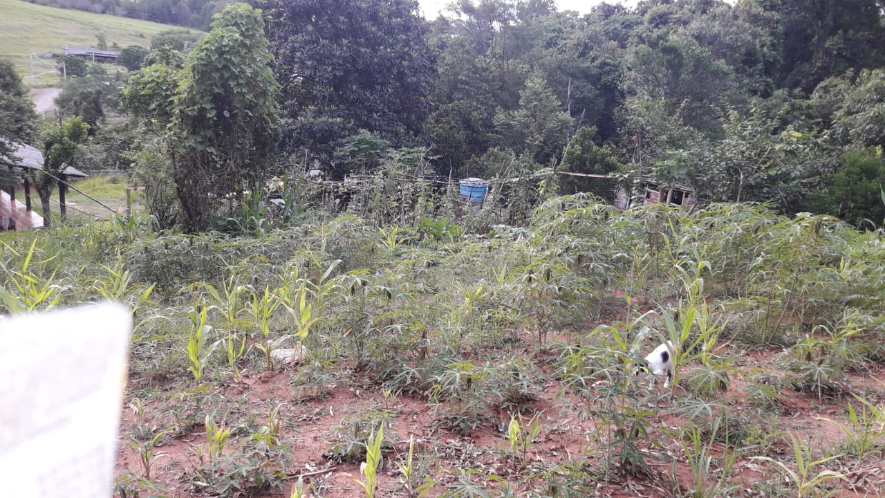 Imagem de Sitio Em Fazenda Fialho