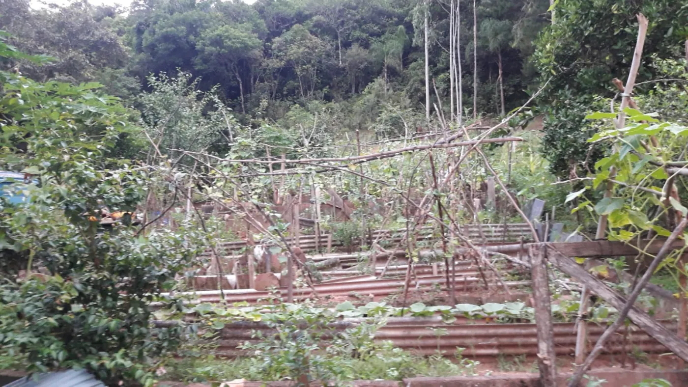 Imagem de Sitio Em Fazenda Fialho