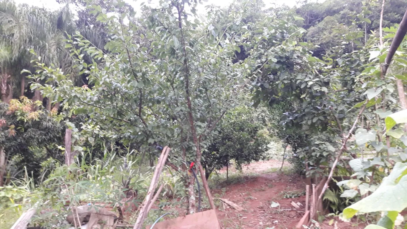 Imagem de Sitio Em Fazenda Fialho