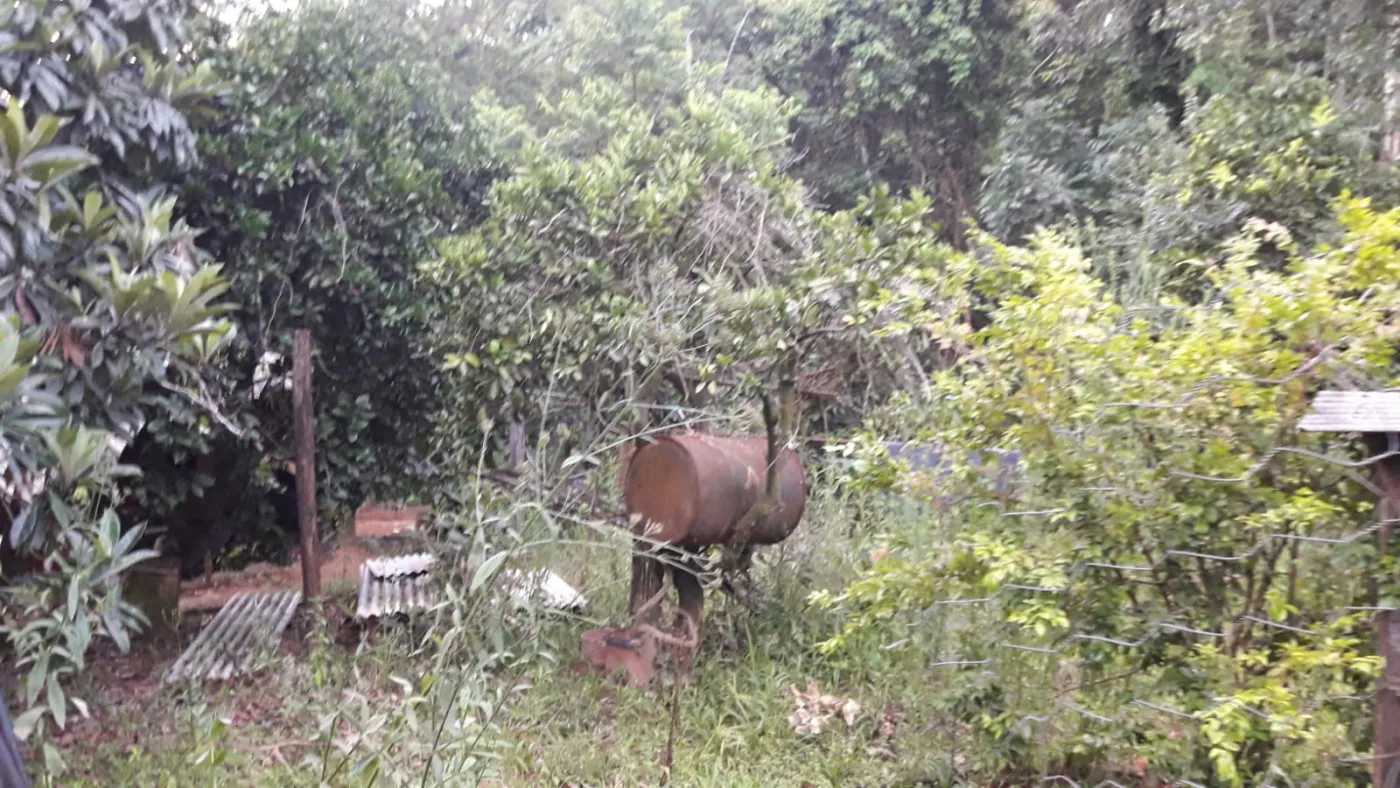 Imagem de Sitio Em Fazenda Fialho