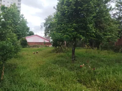 Imagem de Terreno no Jardim do Prado