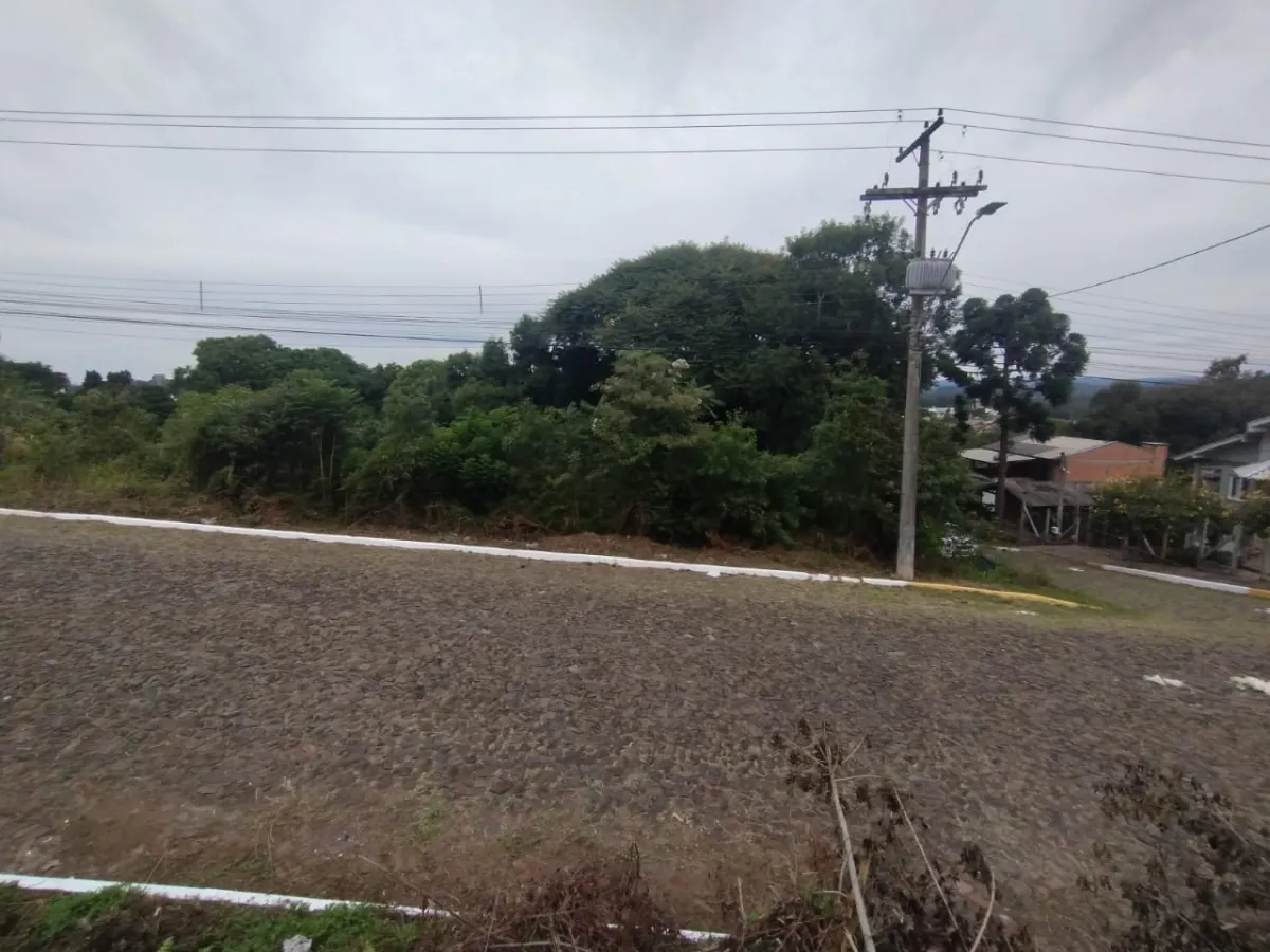 Imagem de TERRENO