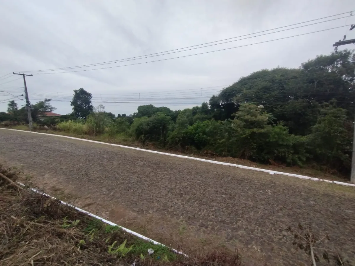 Imagem de TERRENO