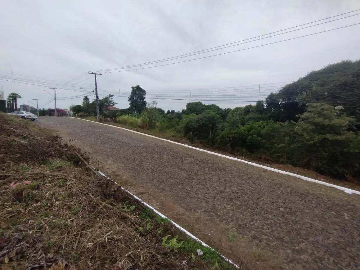 Imagem de TERRENO