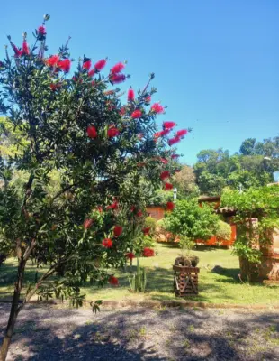 Imagem de SITIO