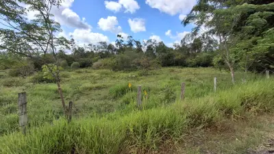Imagem de Oportunidade Estratégica: Área de Terras com 30.000 m² — Potencial Residencial e Industrial!
