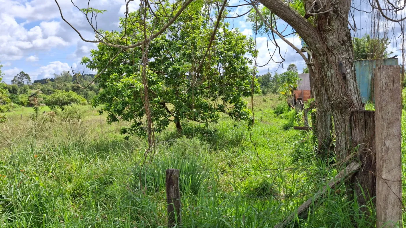 Imagem de Oportunidade Estratégica: Área de Terras com 30.000 m² — Potencial Residencial e Industrial!