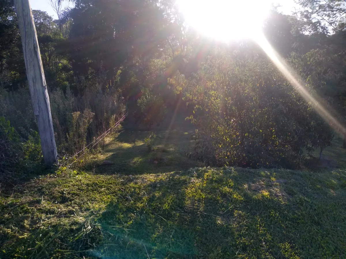 Imagem de Lindo sitio a venda