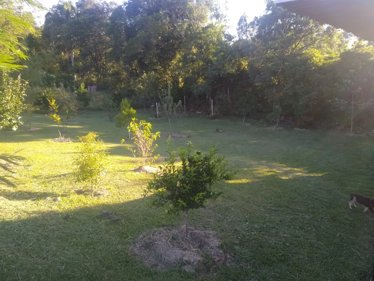 Imagem de Lindo sitio a venda