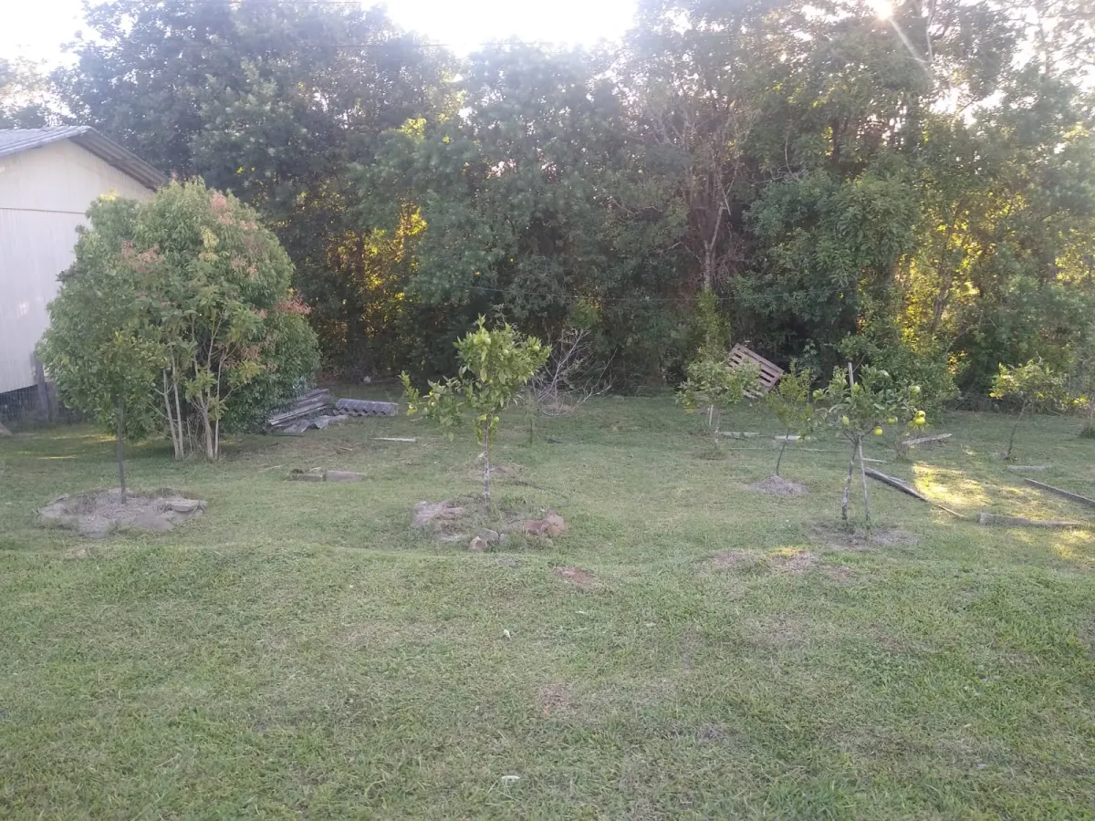 Imagem de Lindo sitio a venda