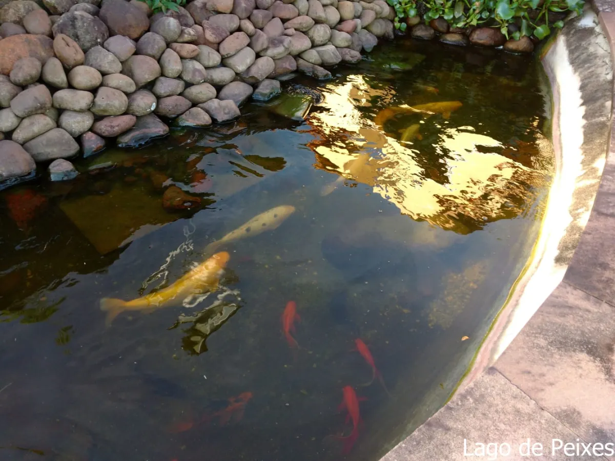 Imagem de Refúgio exclusivo com alto padrão e muito verde em Taquara/RS. Residência encantadora com piscina e espaço gourmet.