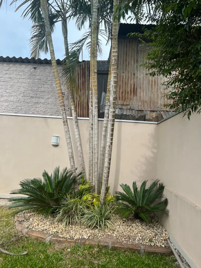 Imagem de casa no bairro Santa Terezinha