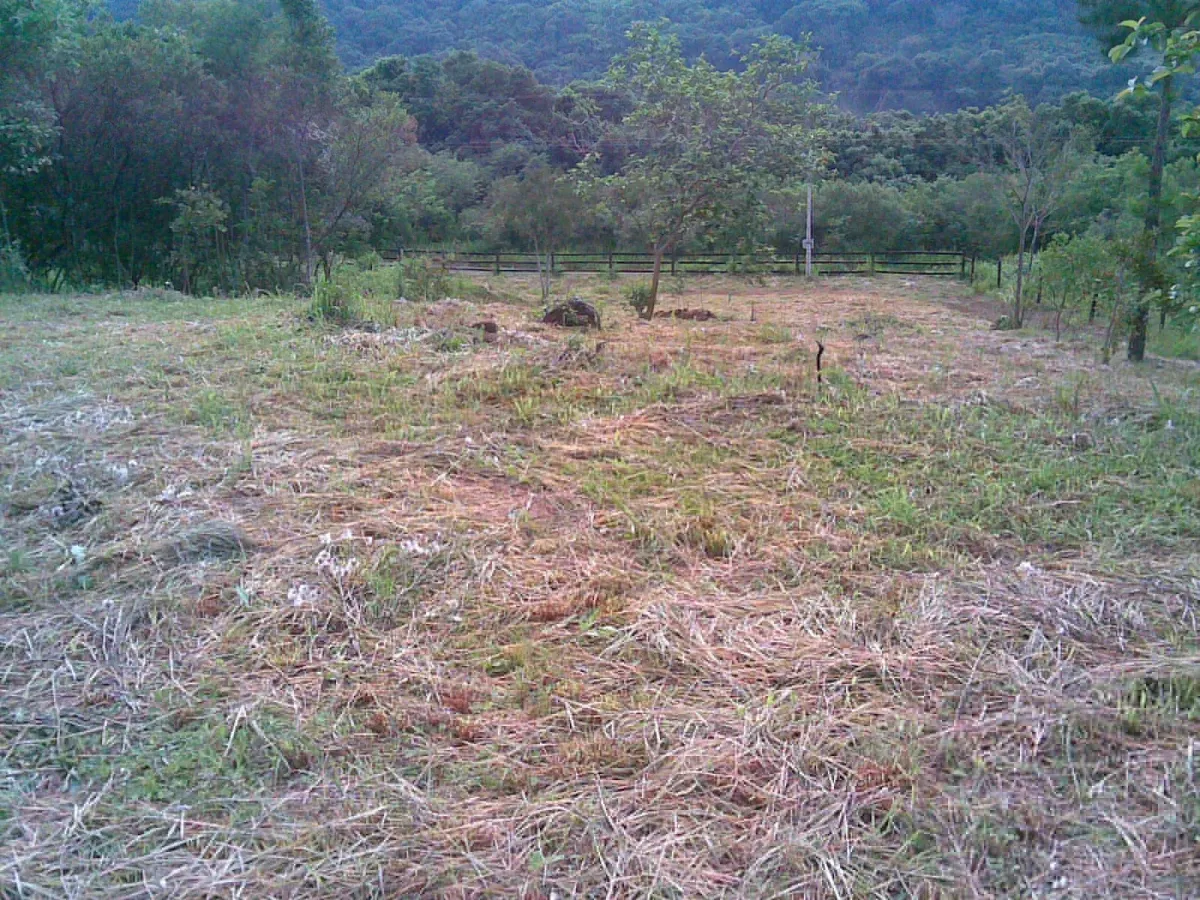 Imagem de TERRENO URBANO