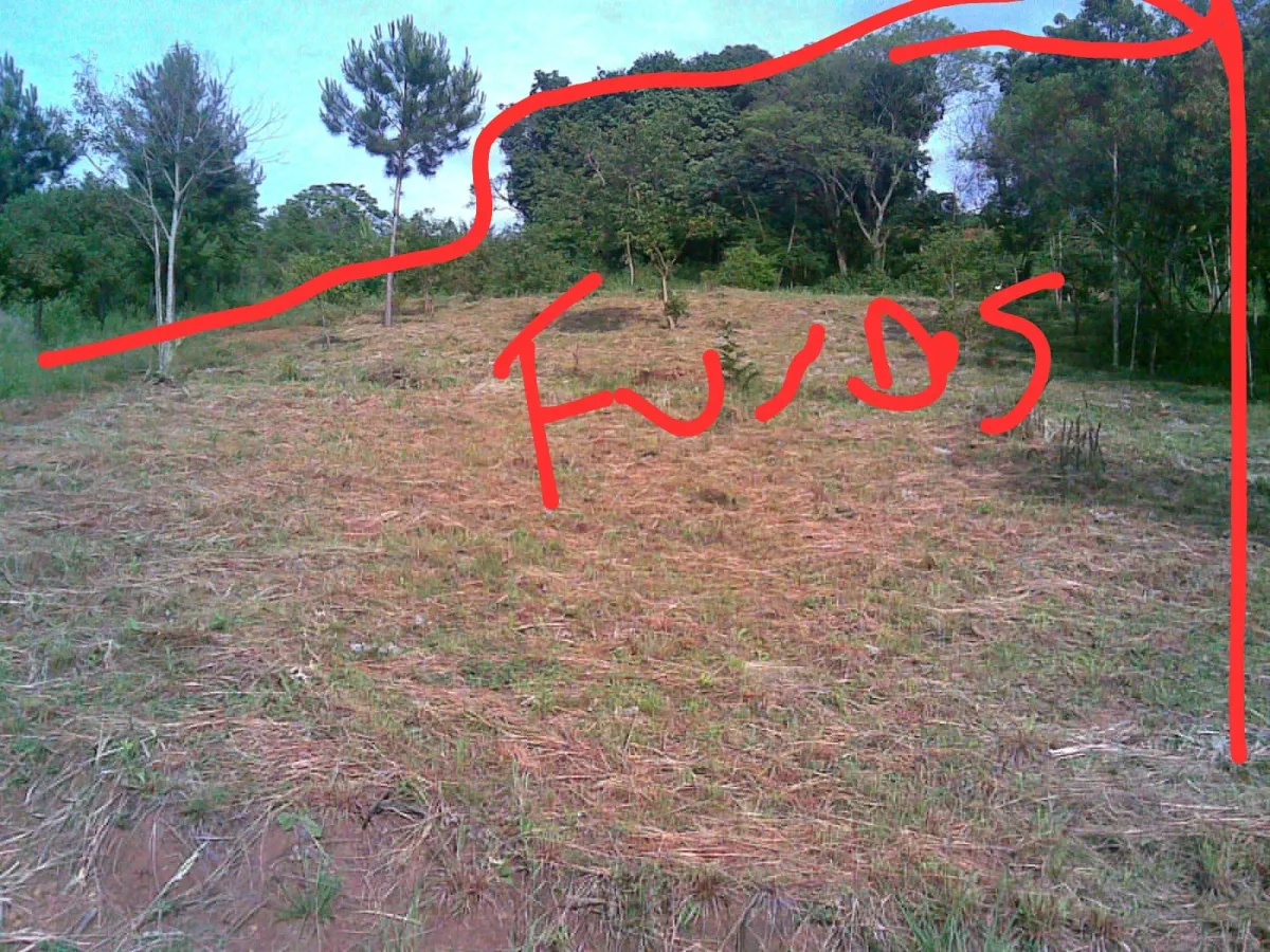 Imagem de TERRENO URBANO