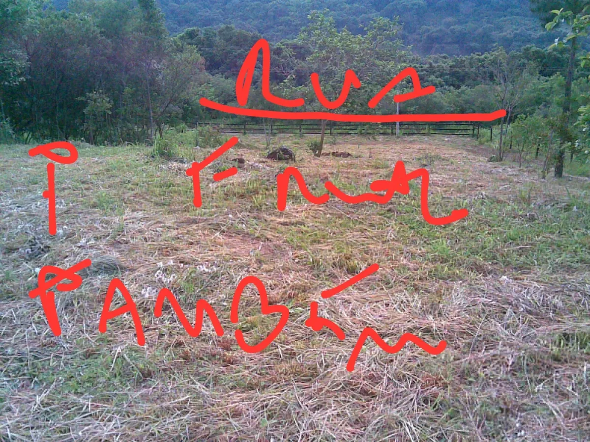 Imagem de TERRENO URBANO