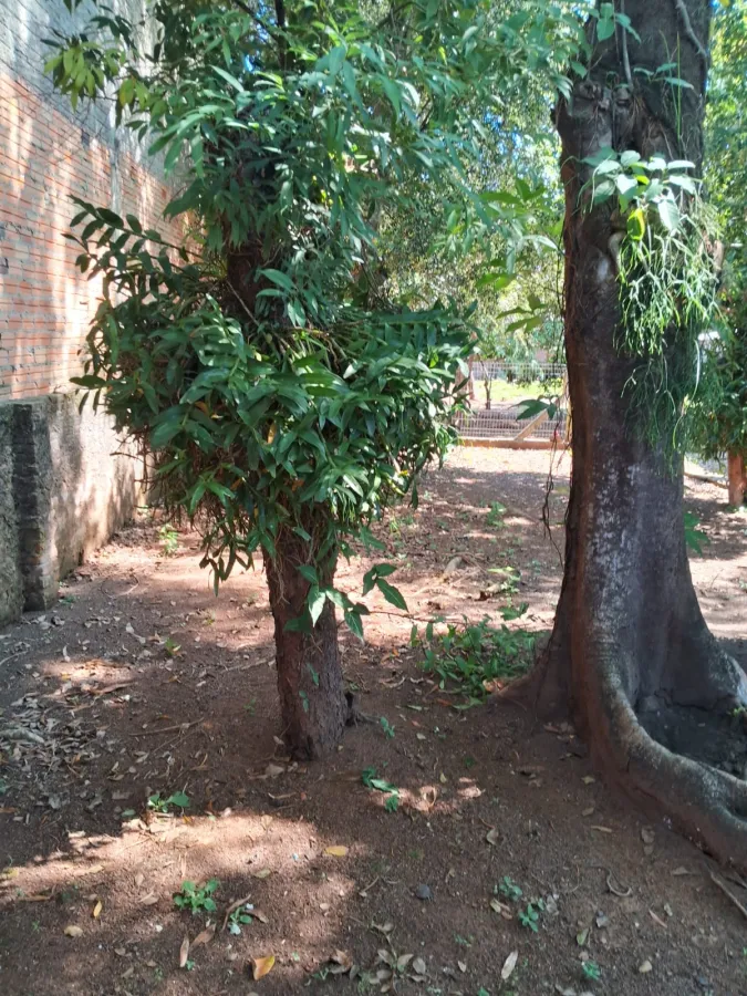 Imagem de CASA FEDERAÇÃO CENTRO