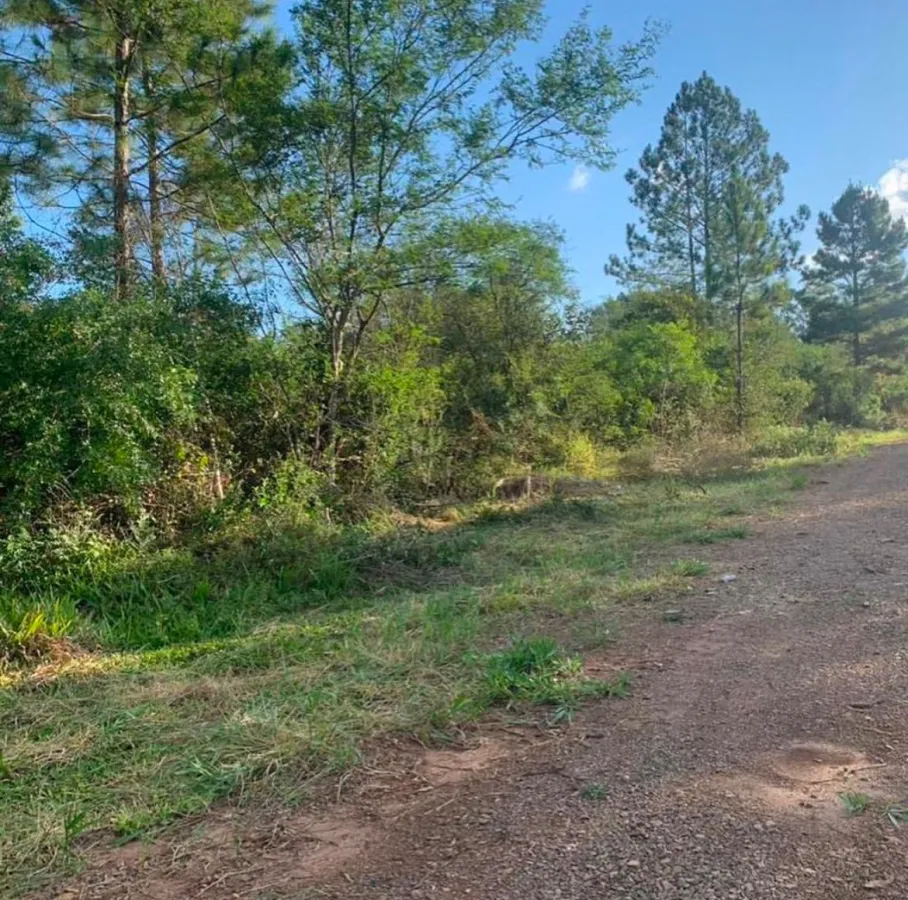 Imagem de Oportunidade Rara: Área de Terras com 5.000 m²
