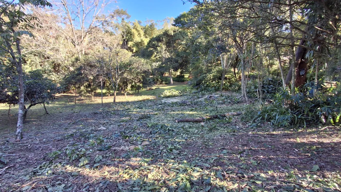 Imagem de TERRENO
