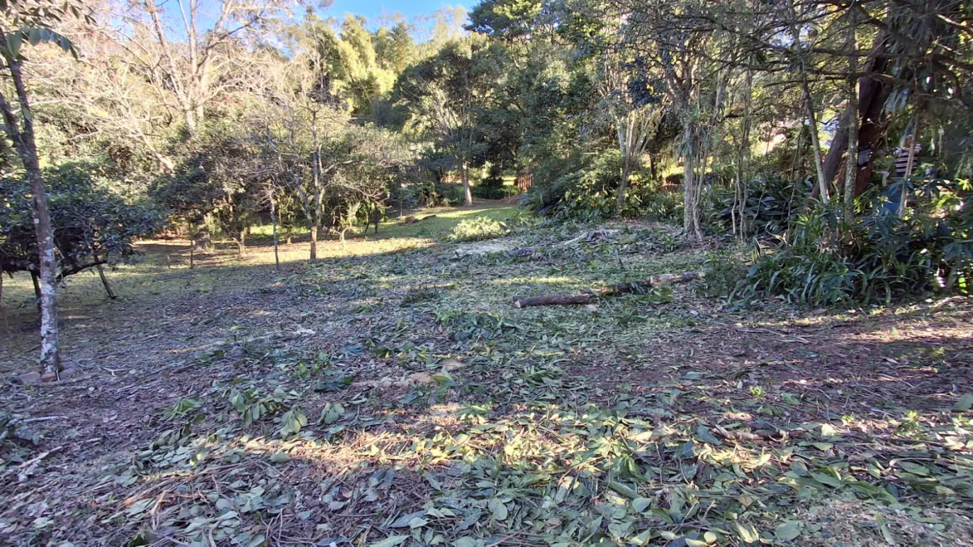 Imagem de TERRENO