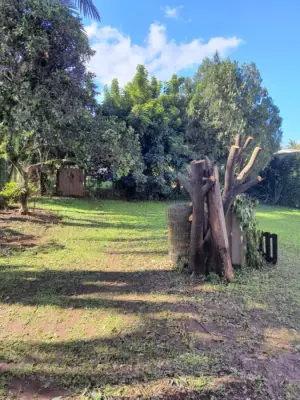 Imagem de Casa em Igrejinha bairro Centro