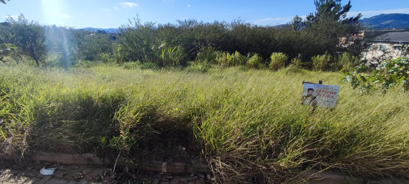 Imagem de TERRENO