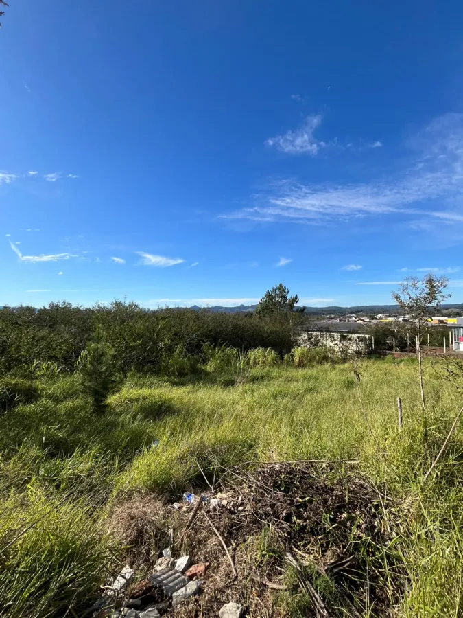 Imagem de TERRENO