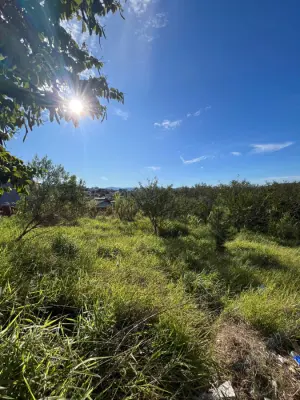 Imagem de TERRENO