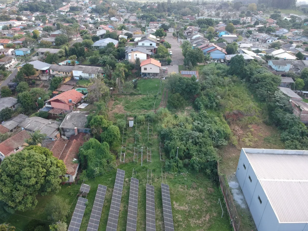 Imagem de ÁREA AS MARGENS DA RS 020 SEBASTIÃO AMORETT