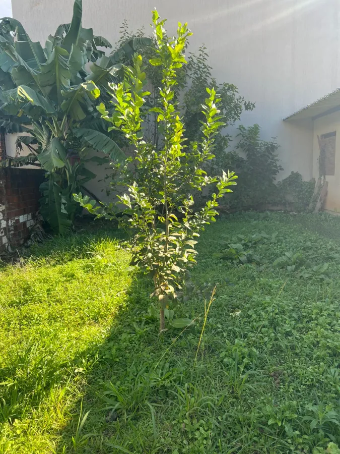 Imagem de Casa em Bairro Jardim Do Prado