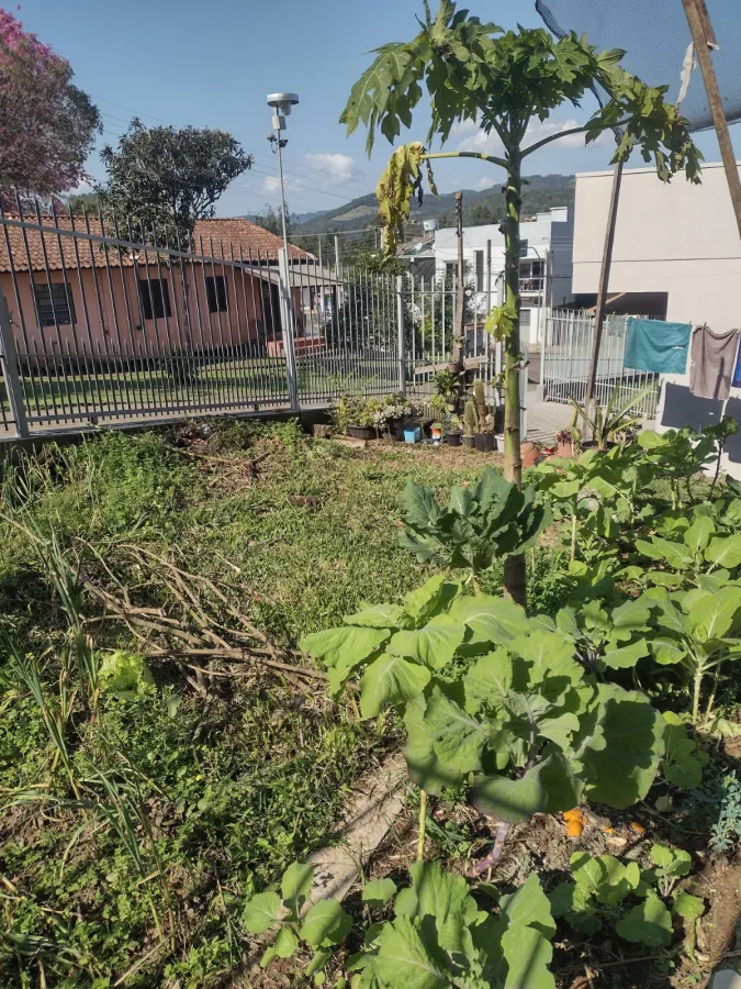 Imagem de CASA ALTO PADRAO