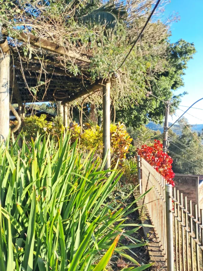 Imagem de Casa mista com três dormitórios