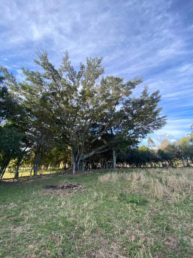 Imagem de Sitio em Aguas Claras Viamão