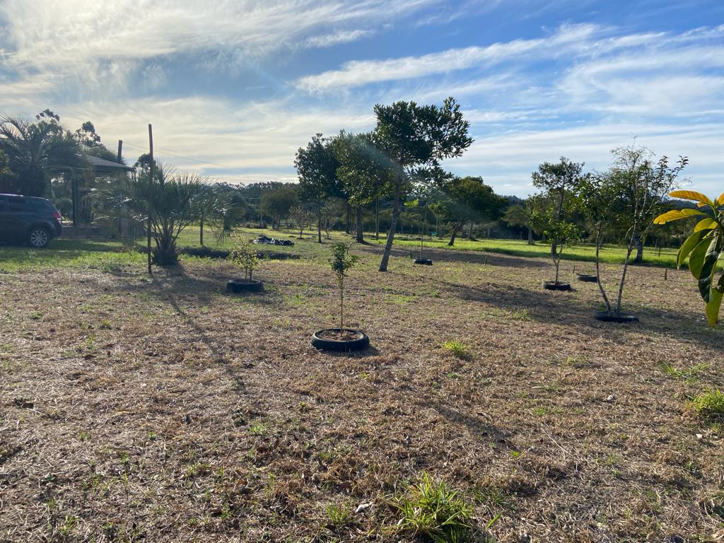 Imagem de Sitio em Aguas Claras Viamão
