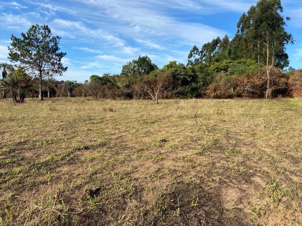 Imagem de Sitio em Aguas Claras Viamão