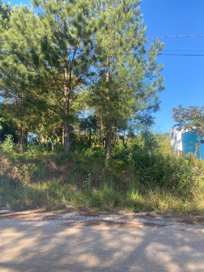 Imagem de TERRENO URBANO