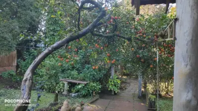 Imagem de Casa em Tres Coroas bairro Rodeio Bonito