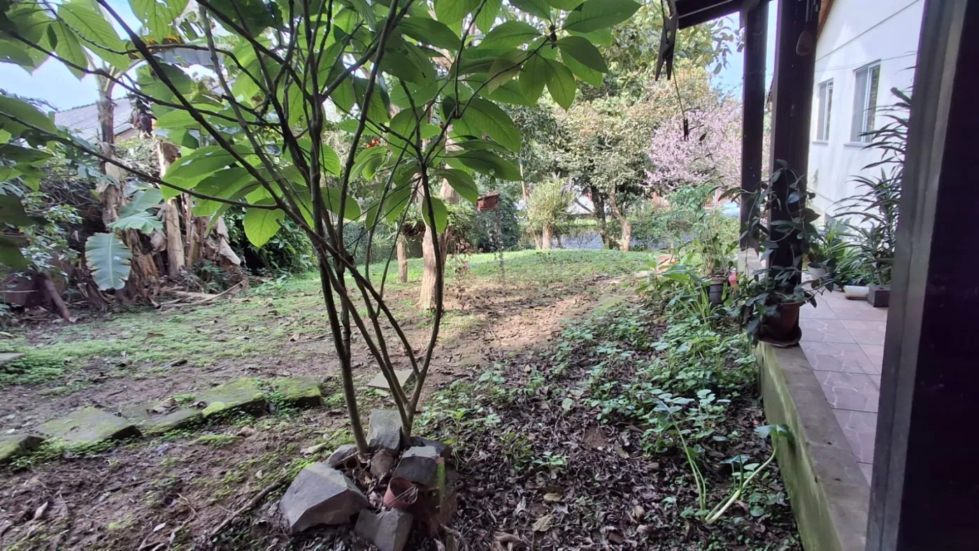Imagem de Casa em Taquara: Seu Paraíso Particular
