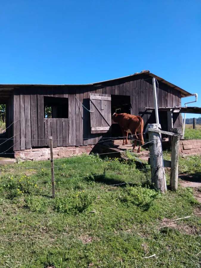 Imagem de Chácara completa com casa de madeira de lei e açude – pronta para morar!