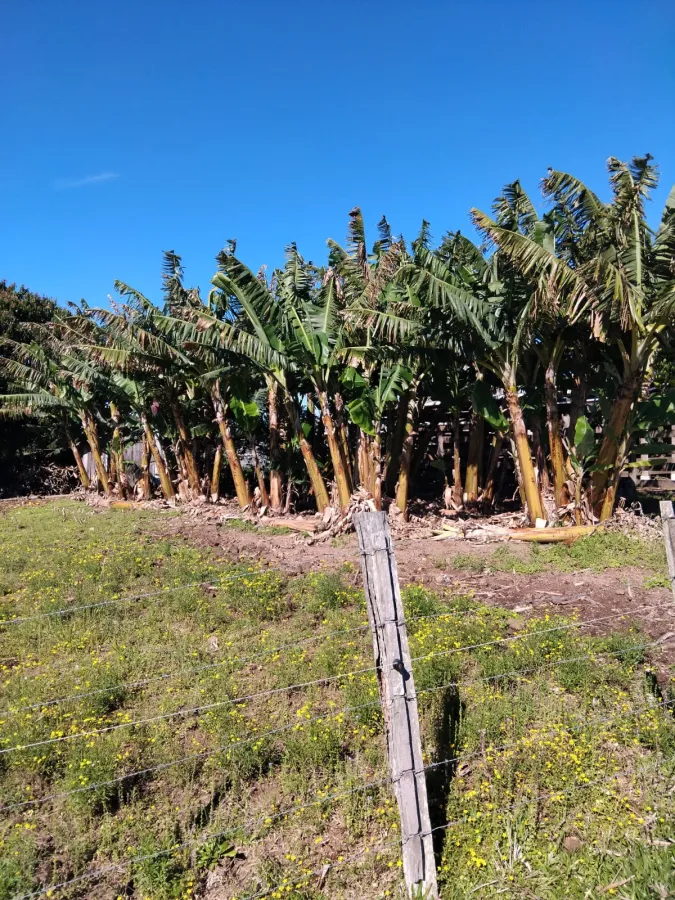 Imagem de Chácara completa com casa de madeira de lei e açude – pronta para morar!