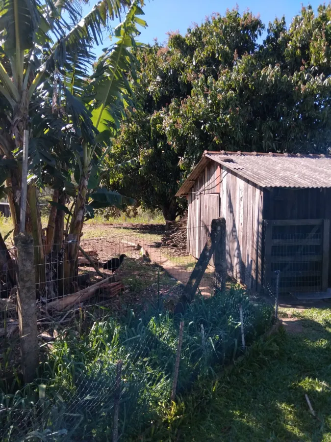 Imagem de Chácara completa com casa de madeira de lei e açude – pronta para morar!